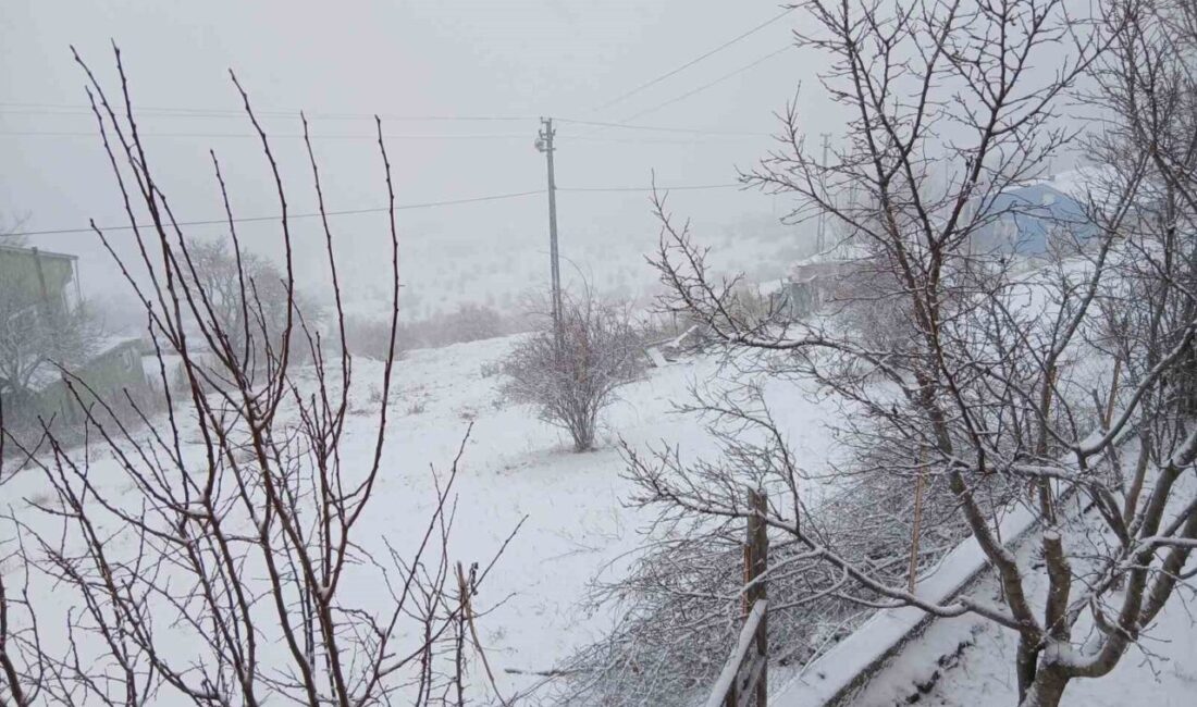Posof ilçesinde etkili kar yağışı nedeniyle ulaşımda aksaklıklar yaşanıyor Ardahan'ın Posof ilçesinde yoğun kar yağışı hayatı olumsuz etkilemeye devam
