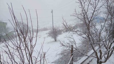 Ardahan'ın Posof ilçesinde yoğun kar yağışı hayatı olumsuz etkilemeye devam