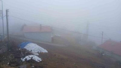 Ardahan’ın Posof ilçesinde sabah saatlerinde etkili olan yoğun sis, görüş