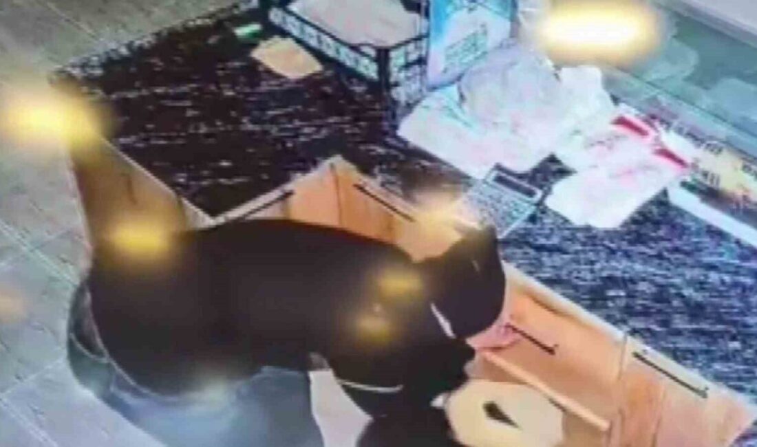 Adıyaman’da İş Yerinden Nakit Para ve Sadaka Kutusu Çalan Hırsızların Kaçışı Güvenlik Kamerasında Görüntülendi Adıyaman'ın Kahta ilçesinde bir iş yerinden nakit para ve sadaka