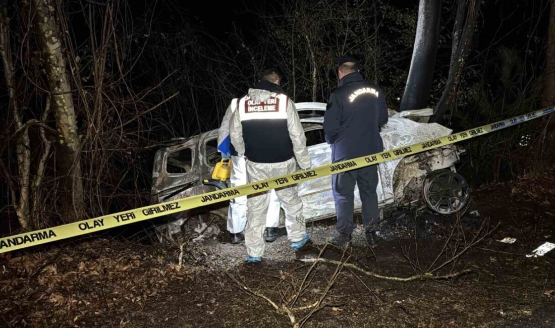Karabük'ün Safranbolu ilçesinde Ferhat Yıldırım (28) idaresindeki hafif ticari araç,