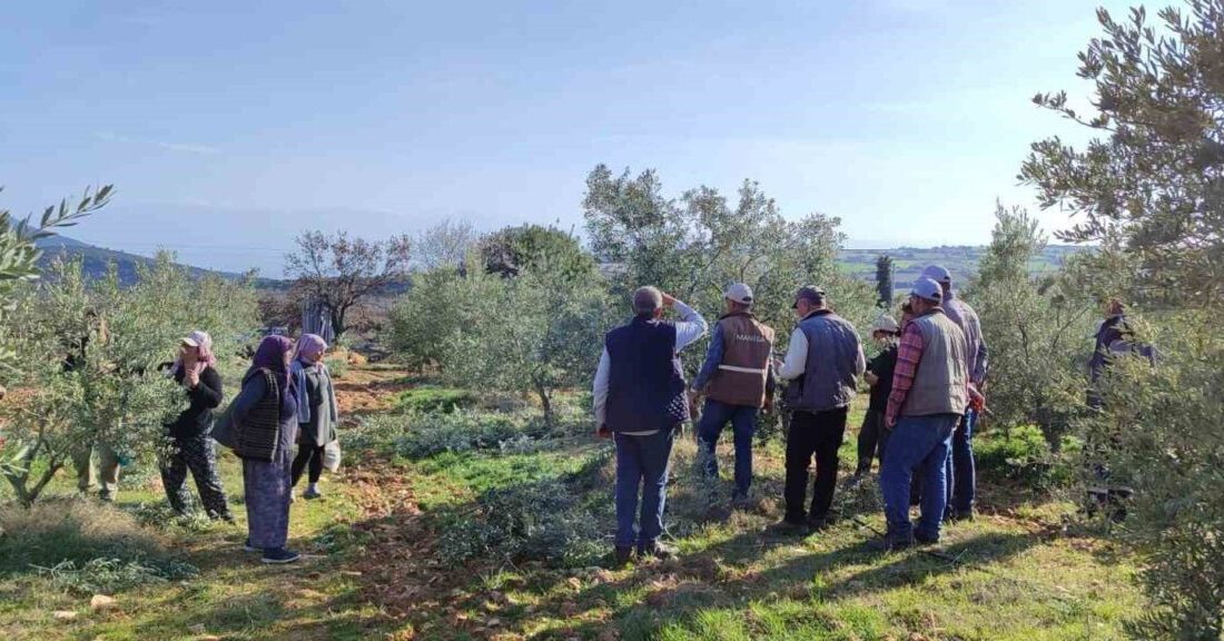 Manisa'nın Salihli ilçesinde, Tarım ve Orman Müdürlüğü ile Şehit Ahmet