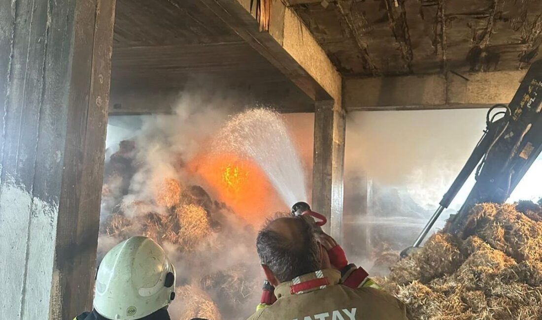Hatay'ın Samandağ ilçesinde bir samanlıkta çıkan yangın, itfaiye ekiplerinin 10