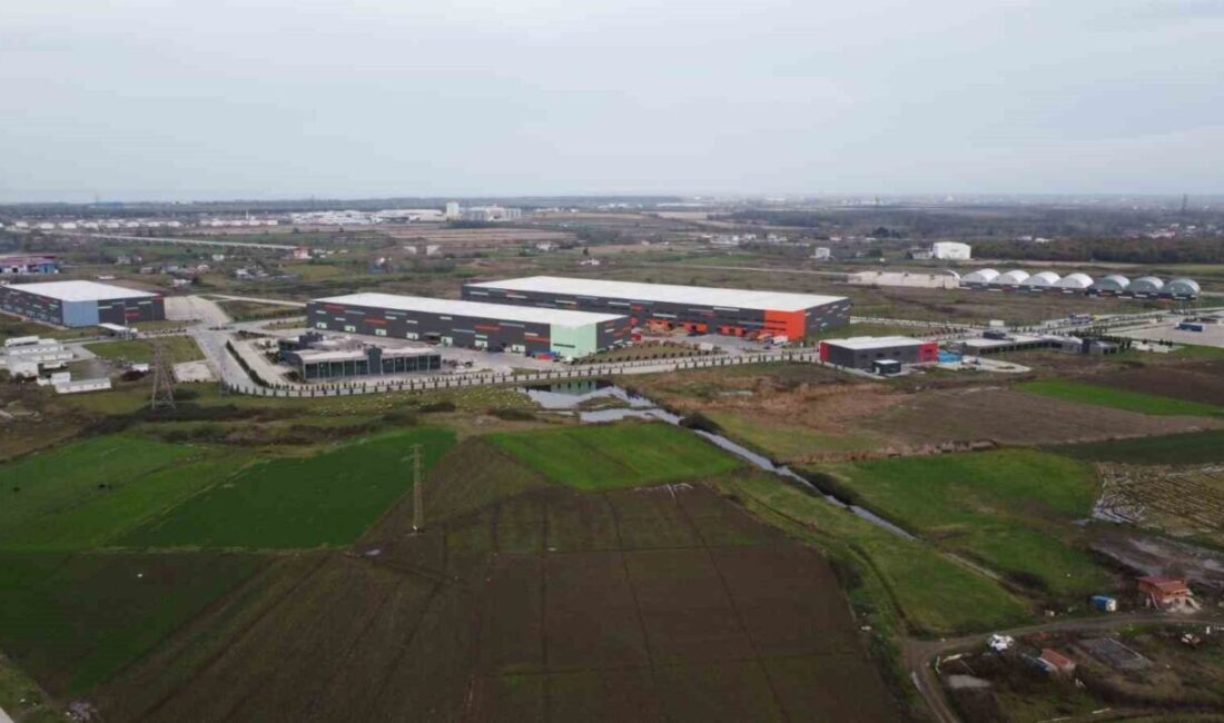 Samsun, Türkiye Yüzyılı'nın üretim merkezi konumunu pekiştirerek, intermodal lojistik yapısı