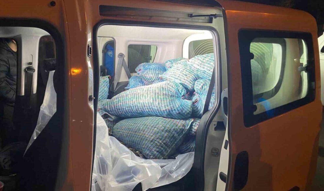 Samsun'da gerçekleştirilen denetimlerde 300 kilogram kaçak midye yakalandı. Araçtaki iki