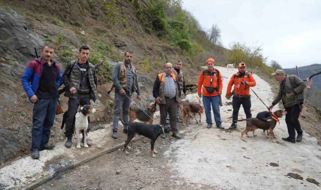 Samsunlu Çiftçiler, Domuzlarla Mücadelede ‘Takoz’ Zorunluluğunun Kaldırılmasını Talep Ediyor Samsun kırsalında artan domuz popülasyonu, çiftçilerin bahçelerine ciddi zarar veriyor.
