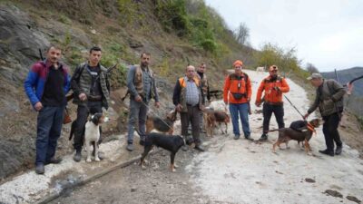 Samsun kırsalında artan domuz popülasyonu, çiftçilerin bahçelerine ciddi zarar veriyor.