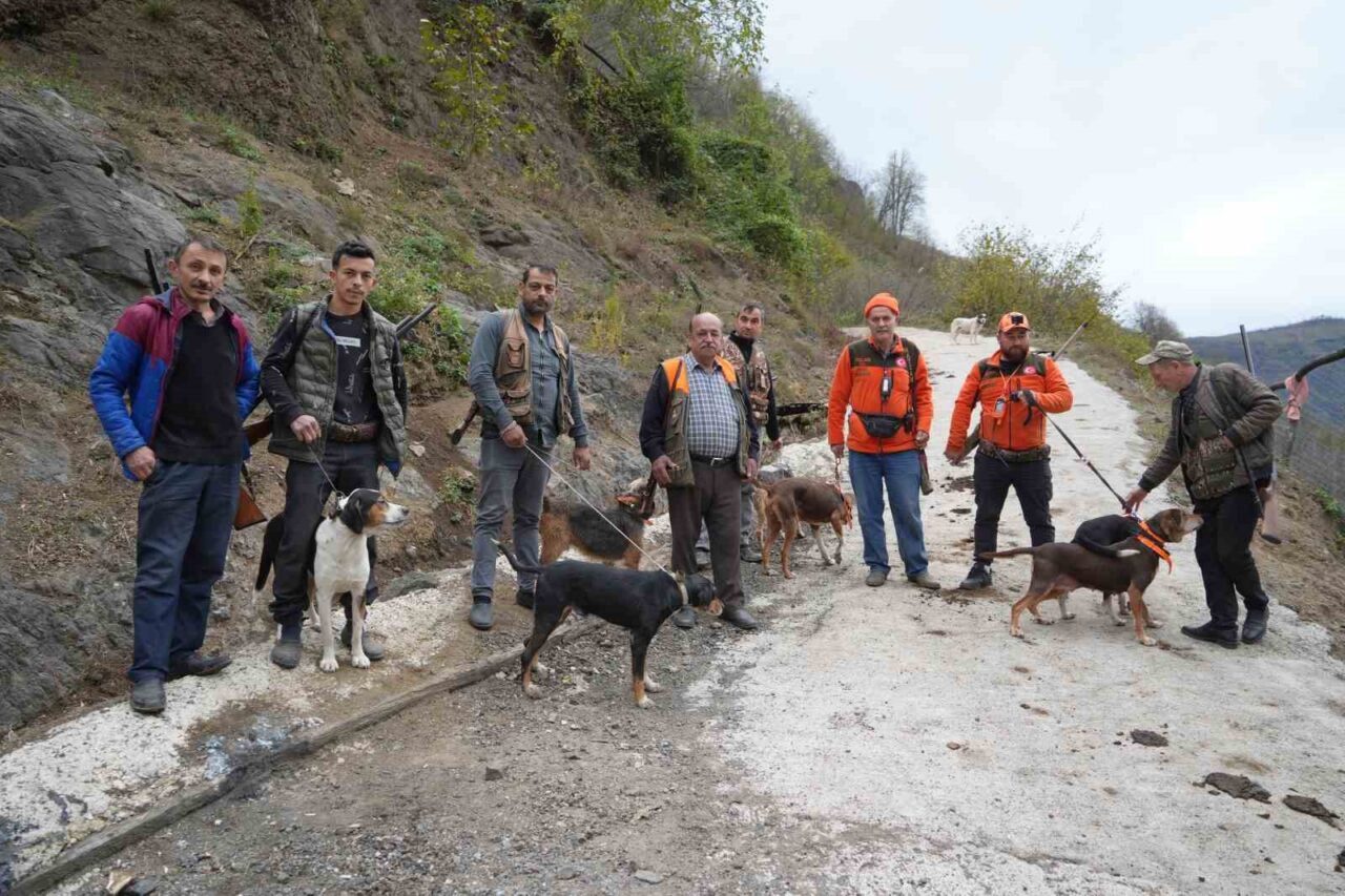 Samsunlu çiftçiler, domuzların ekili alanlarına verdiği zarardan dolayı avcıların domuz