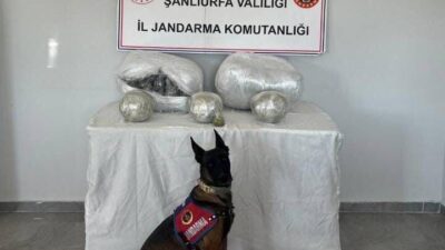 Şanlıurfa'nın Hilvan ilçesinde jandarma, bir trafik kontrolünde durdurduğu otomobilin bagajında