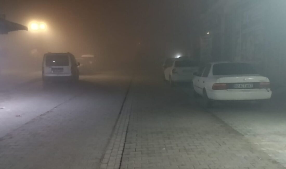 Şanlıurfa'da akşam saatlerinden itibaren etkili olan yoğun sis, sabah saatlerinde