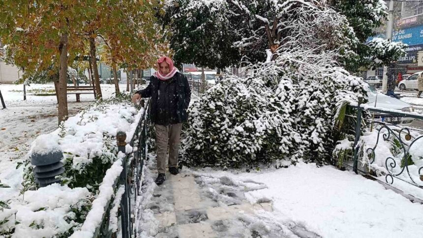 Şanlıurfa’da sabah saatlerinde etkili olan kar yağışı nedeniyle ağaç devrildi, araçlar mahsur kaldı.