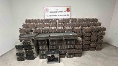 Şanlıurfa'nın Hilvan ilçesinde, kripto para madenciliği yapan iki kişi gözaltına