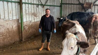 Bursa Yenişehir'de hayvancılıkla uğraşan Aytaç Afşar, şap hastalığı nedeniyle 1,5