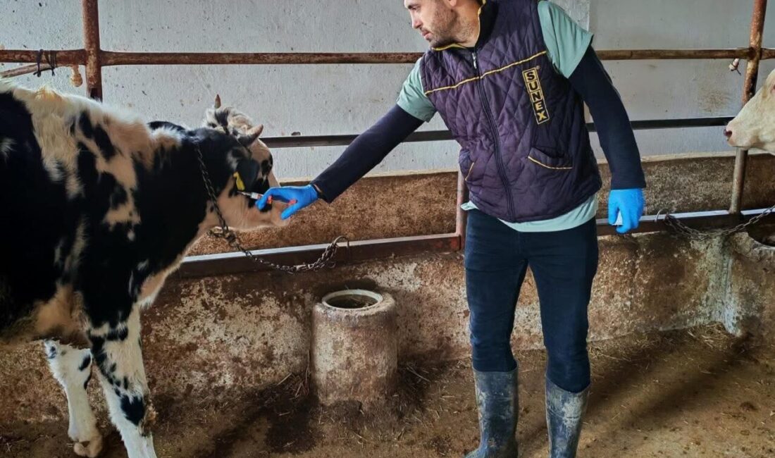 Tekirdağ'ın Marmaraereğlisi ilçesindeki Yeniçiftlik Mahallesi'nde, Tarım ve Orman Müdürlüğü ekipleri