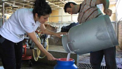 TÜSEDAD Başkanı Müslüm Doğru, şap hastalığı nedeniyle zor dönemler yaşayan