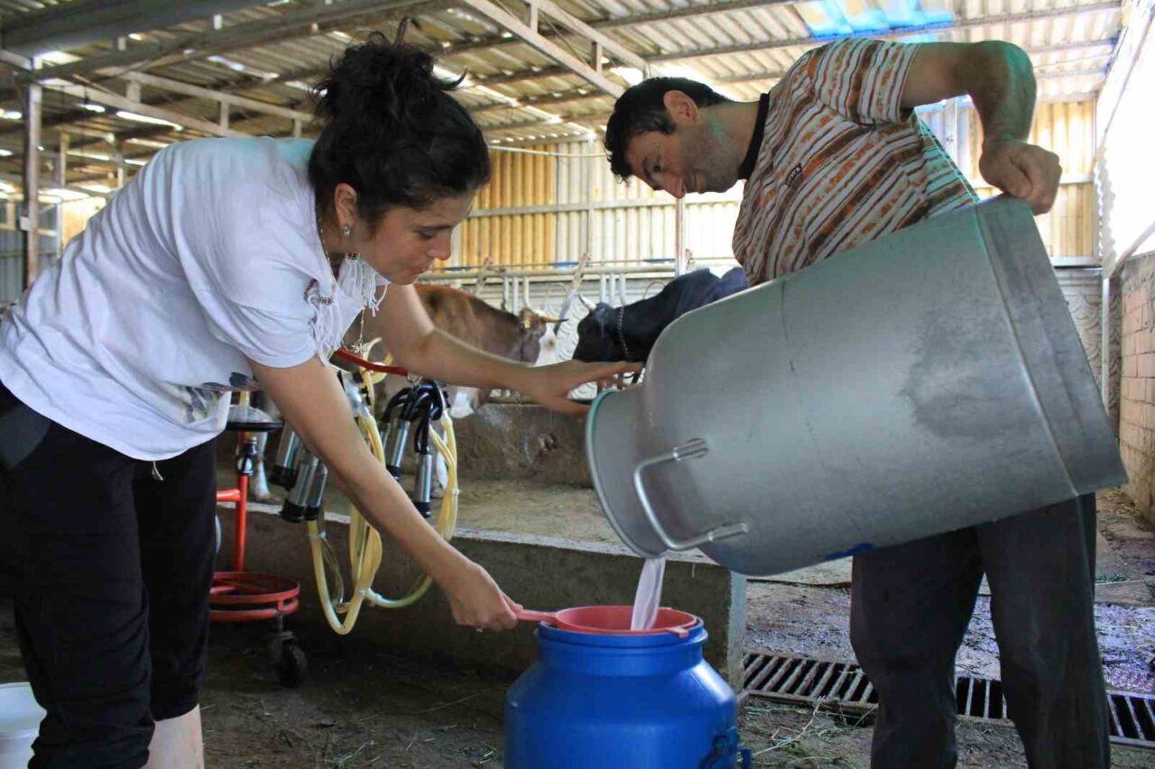 TÜSEDAD Başkanı Müslüm Doğru, şap hastalığı nedeniyle zor dönemler yaşayan