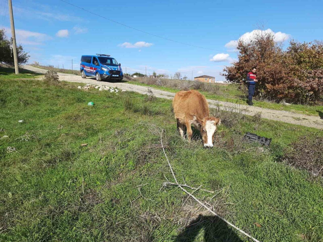 Tekirdağ’ın Saray ilçesinde yapılan denetimde, Anadolu'dan kaçak olarak getirilen 9