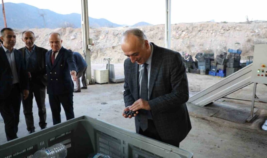 Eskişehir’de Zeytinyağı Üretimi İle İlgili Önemli Değerlendirmeler Yapıldı Eskişehir İl Tarım ve Orman Müdürü Yüksel Çil, Sarıcakaya'nın zeytin