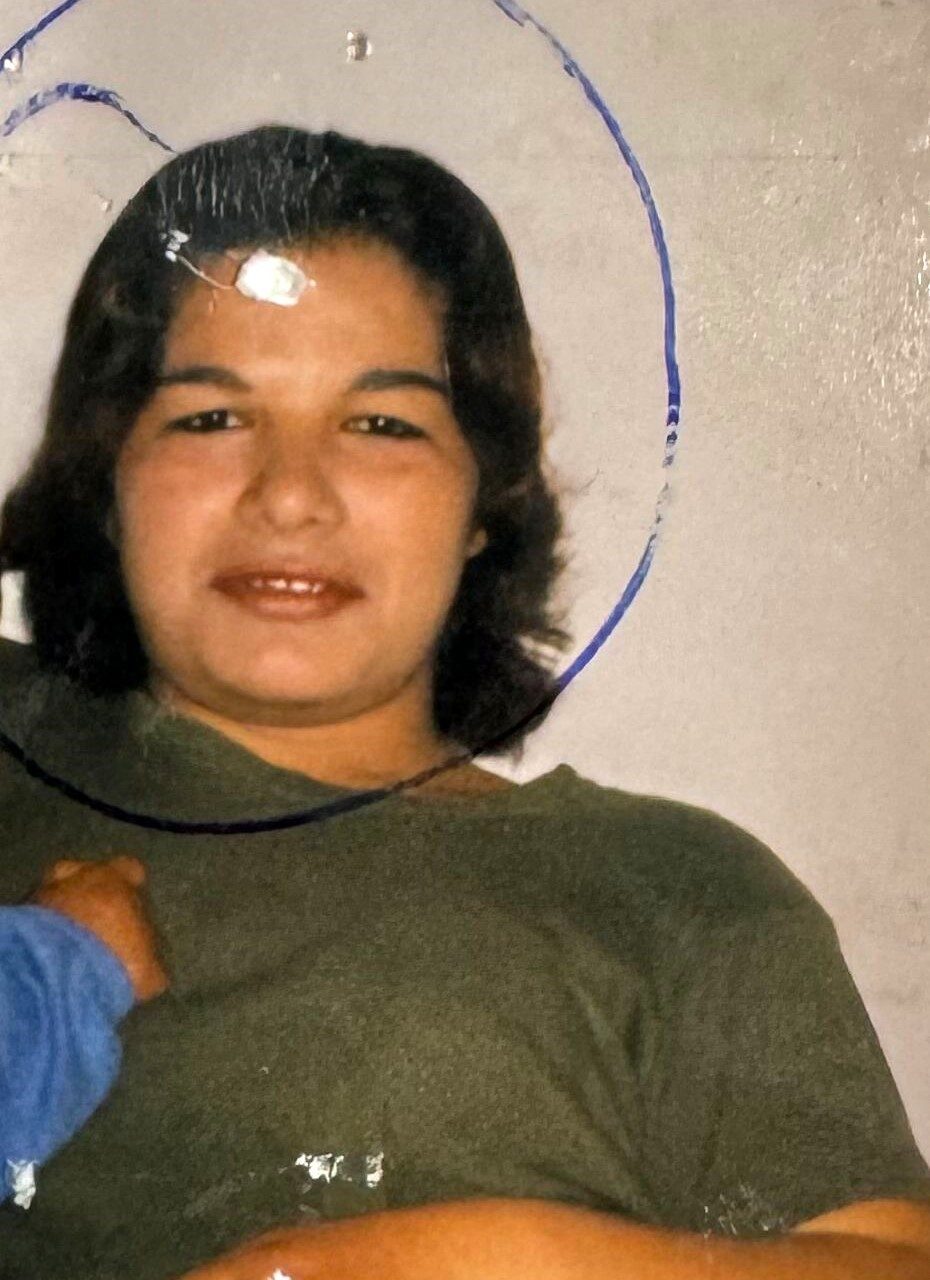 İstanbul Sarıyer'de 2006'daki domuz bağı cinayetinin failleri 19 yıl sonra