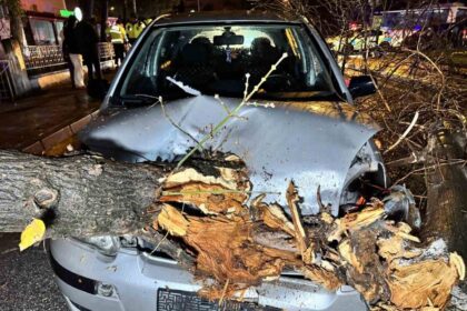 Edirne’de hareket halindeki araca ağaç düştü, sürücü yara almadan kurtuldu.
