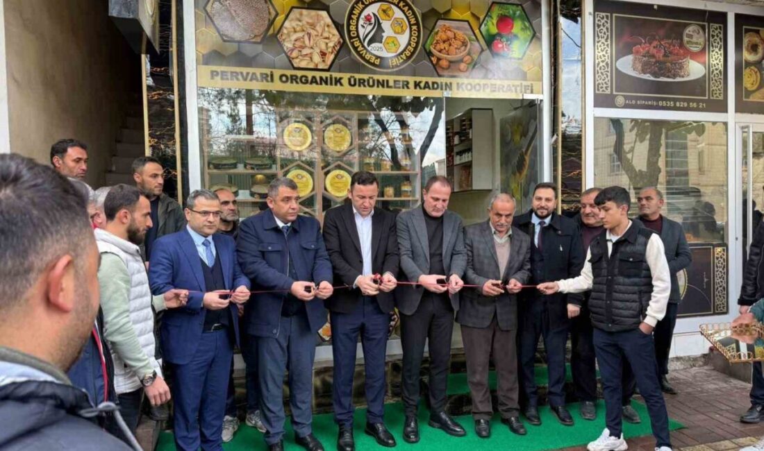 Siirt'in Pervari ilçesinde, 12 kadın girişimiyle kurulan Pervari Organik Ürünler