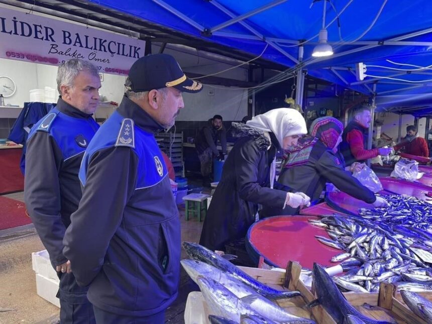 Osmaneli ilçesindeki balık tezgâhları, şikayetler üzerine denetlendi.