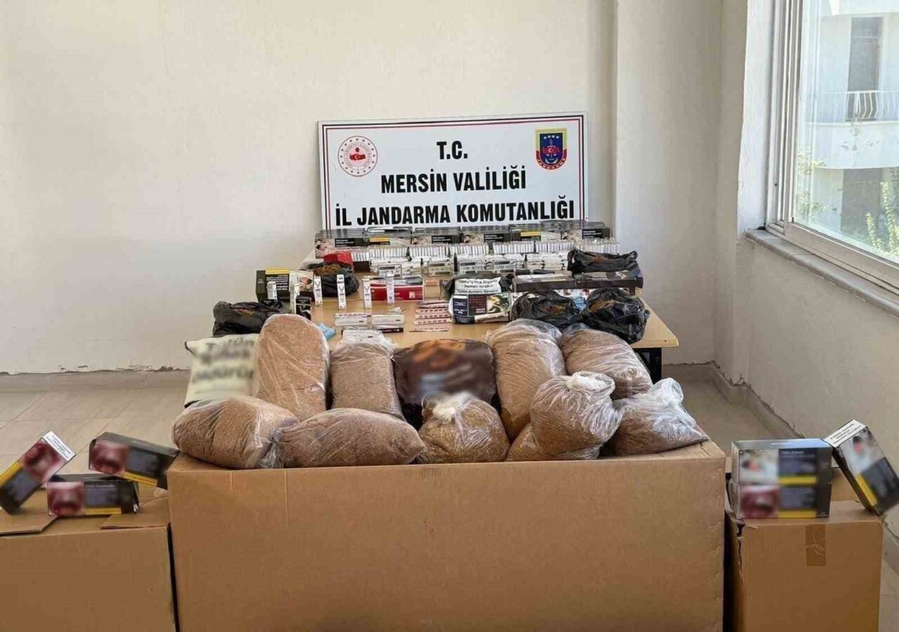 Mersin'in Silifke ve Bozyazı ilçelerinde gerçekleştirilen eş zamanlı operasyonlarla iki