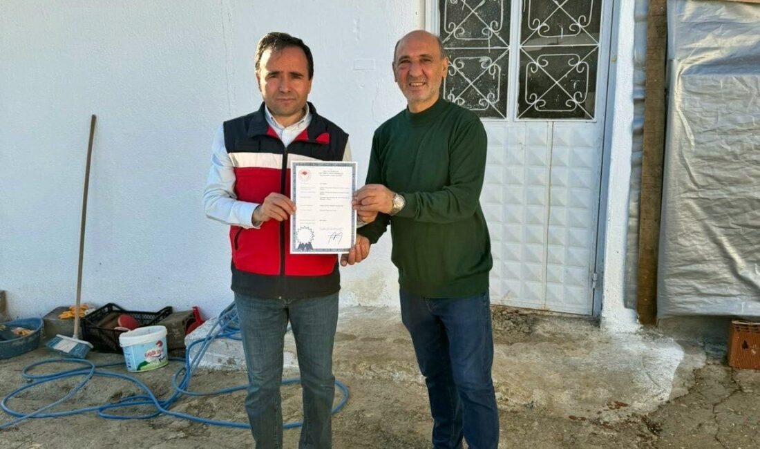 Kütahya'nın Simav ilçesinde, 12 bin tavuk kapasiteli yumurta paketleme işletmesi