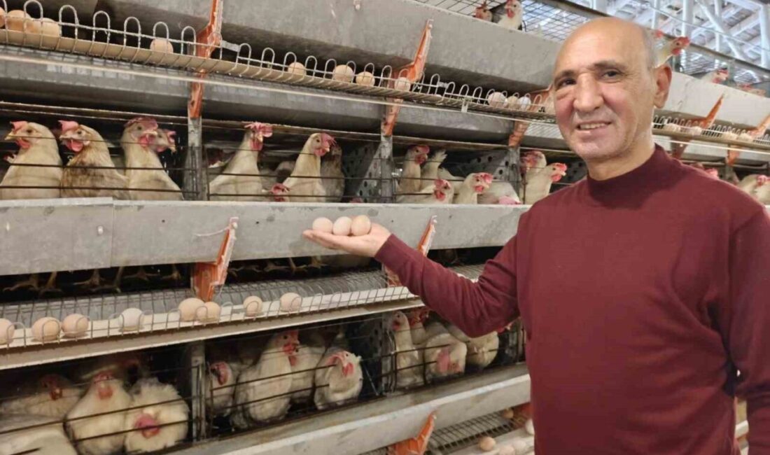 Kütahya'nın Simav ilçesindeki Kuşu beldesinde İsmail Çetiner tarafından açılan yeni