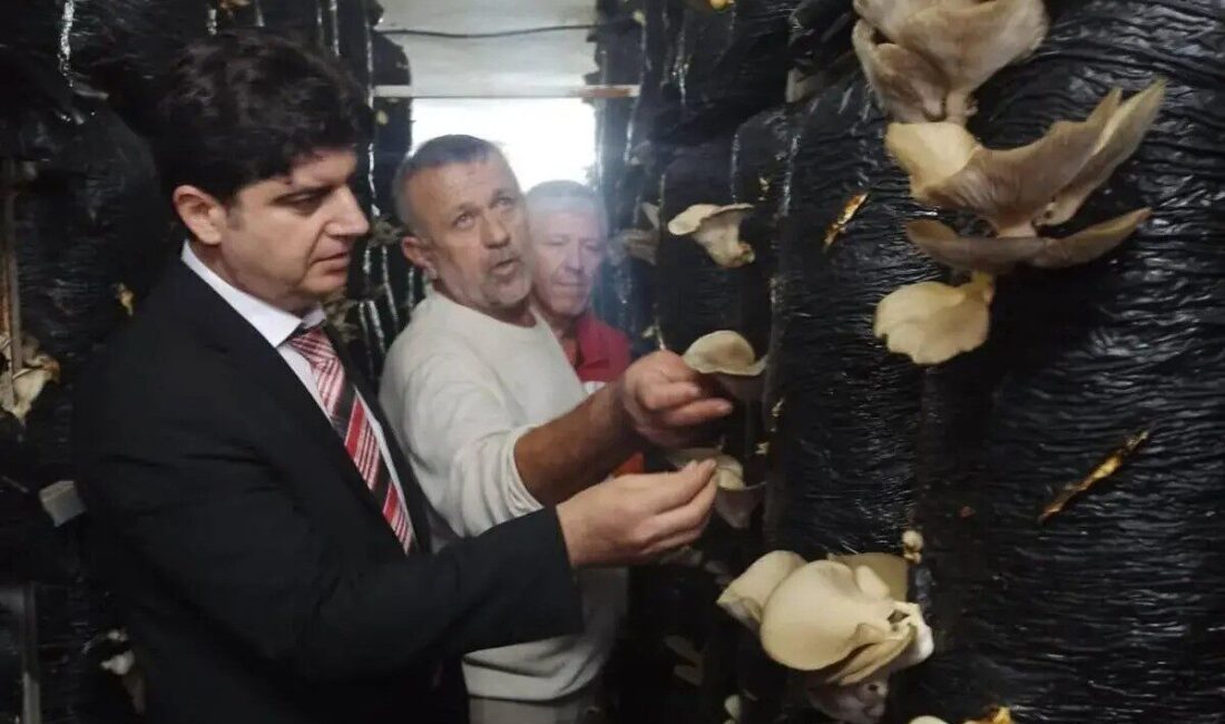 Sinop'ta, İl Tarım ve Orman Müdürlüğü ile Halk Eğitim Merkezi