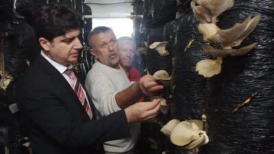 Sinop'ta, İl Tarım ve Orman Müdürlüğü ile Halk Eğitim Merkezi