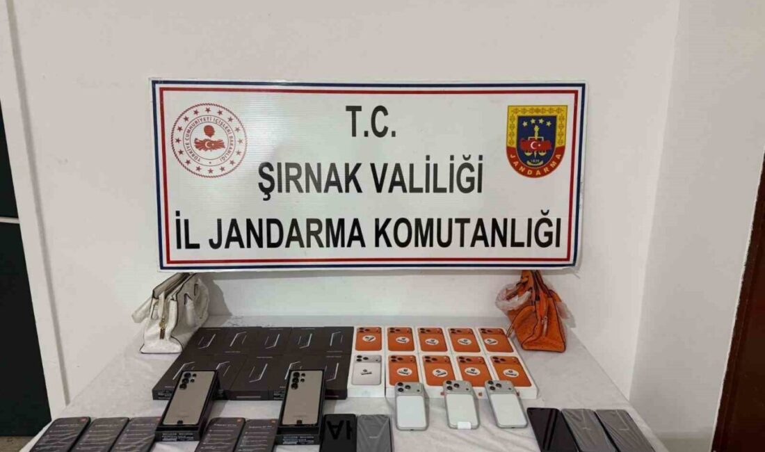 Şırnak'ta gerçekleştirilen kaçakçılık operasyonlarında, 69 kişi hakkında adli işlem başlatıldı.