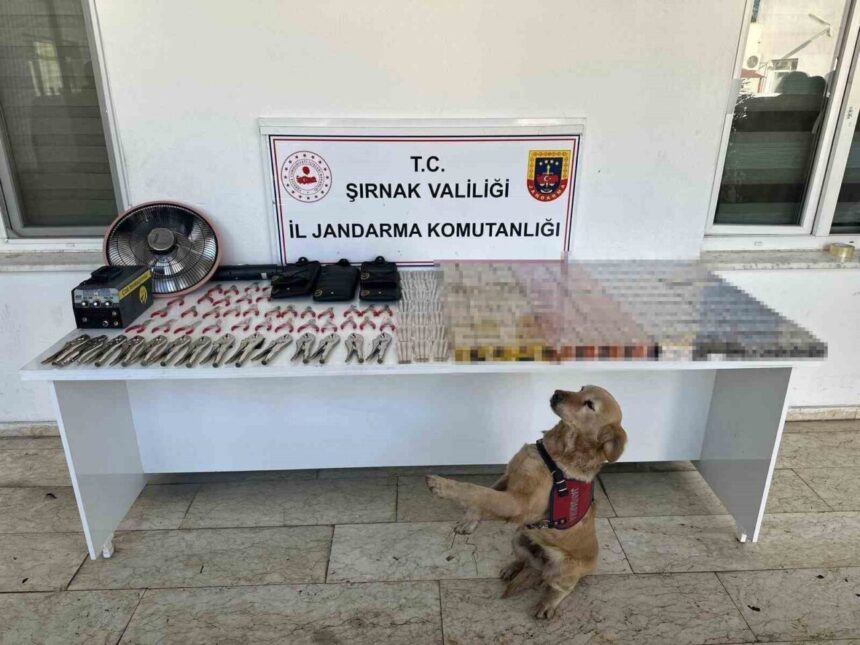 Şırnak’ta jandarma operasyonunda 27 milyon liralık gümrük kaçağı malzeme ele geçirildi, 41 kişi yakalandı.