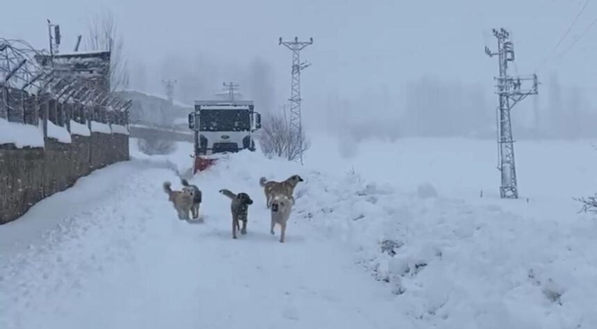 Şırnak’ta yoğun kar yağışı sebebiyle kapalı köy yolları açılıyor.