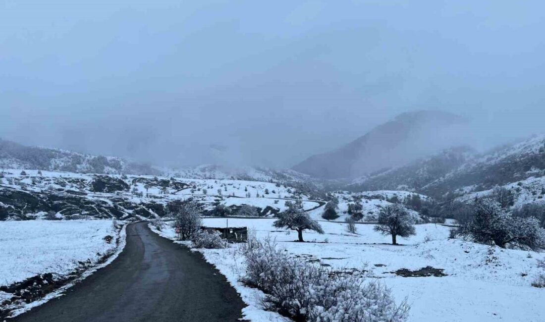 Sivas'ın Koyulhisar ilçesinde, soğuk hava etkisiyle yüksek rakımlı bölgeler karla