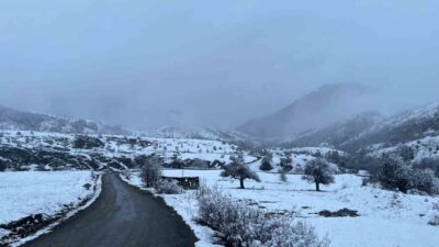 Sivas'ın Koyulhisar ilçesinde, soğuk hava etkisiyle yüksek rakımlı bölgeler karla