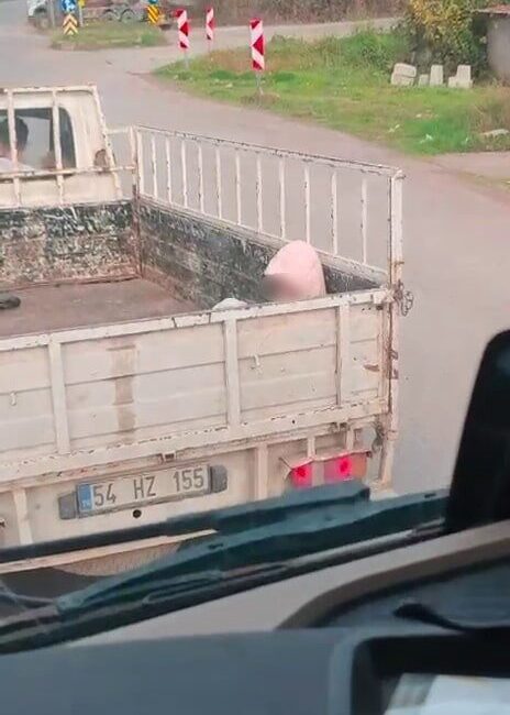 Soğuk Havada Kamyonet Kasasında Seyahat Eden Çocuğa Dikkat Çeken Görüntüler Sosyal Medyada Tepki Çekti Sakarya'nın Karasu ilçesinde soğuk hava koşullarında bir kamyonetin kasasında yolculuk