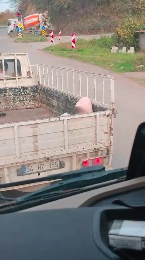 Sakarya'nın Karasu ilçesinde soğuk hava koşullarında bir kamyonetin kasasında yolculuk