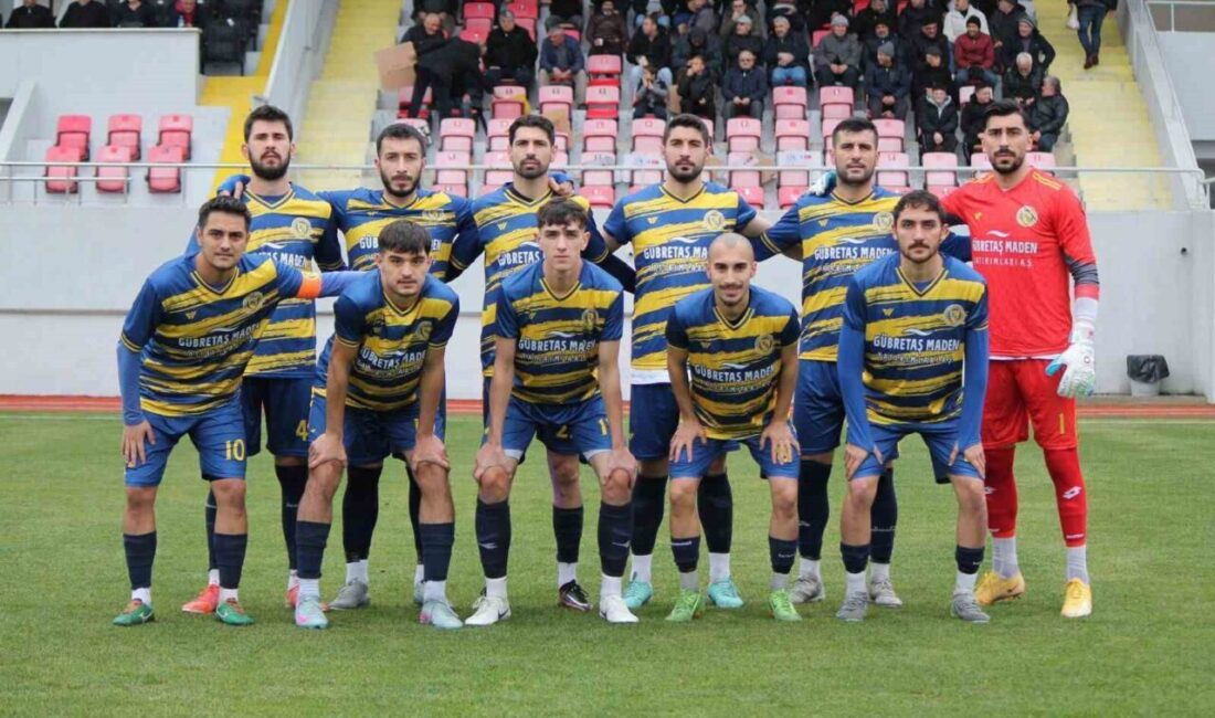 Bölgesel Amatör Lig'de mücadele eden Söğütspor, T. Tepecikspor'a 2-0 yenilerek