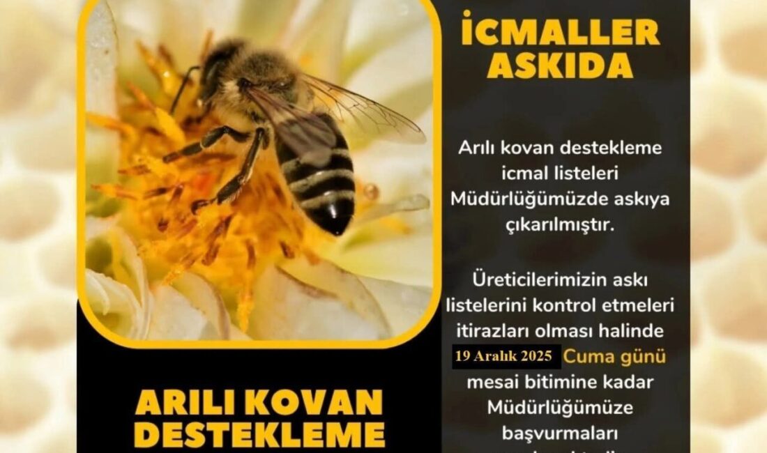 Aydın'ın Söke ilçesinde Arılı Kovan Desteklemesi için başvuruda bulunan üreticiler,