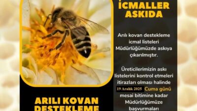 Aydın'ın Söke ilçesinde Arılı Kovan Desteklemesi için başvuruda bulunan üreticiler,