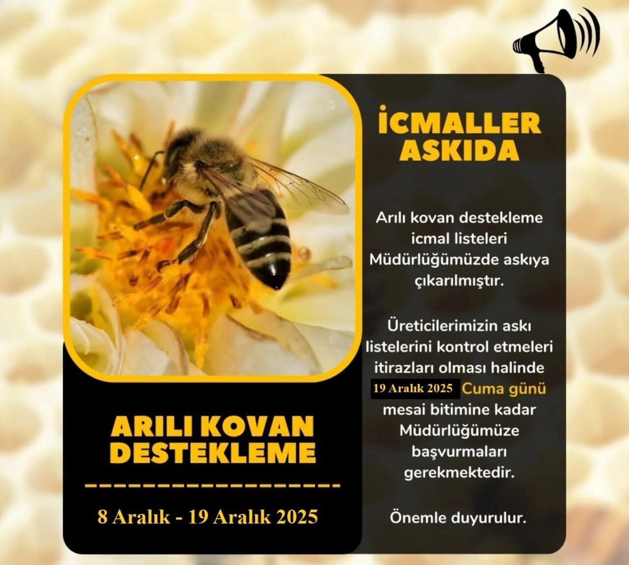 Aydın'ın Söke ilçesinde Arılı Kovan Desteklemesi için başvuruda bulunan üreticiler,
