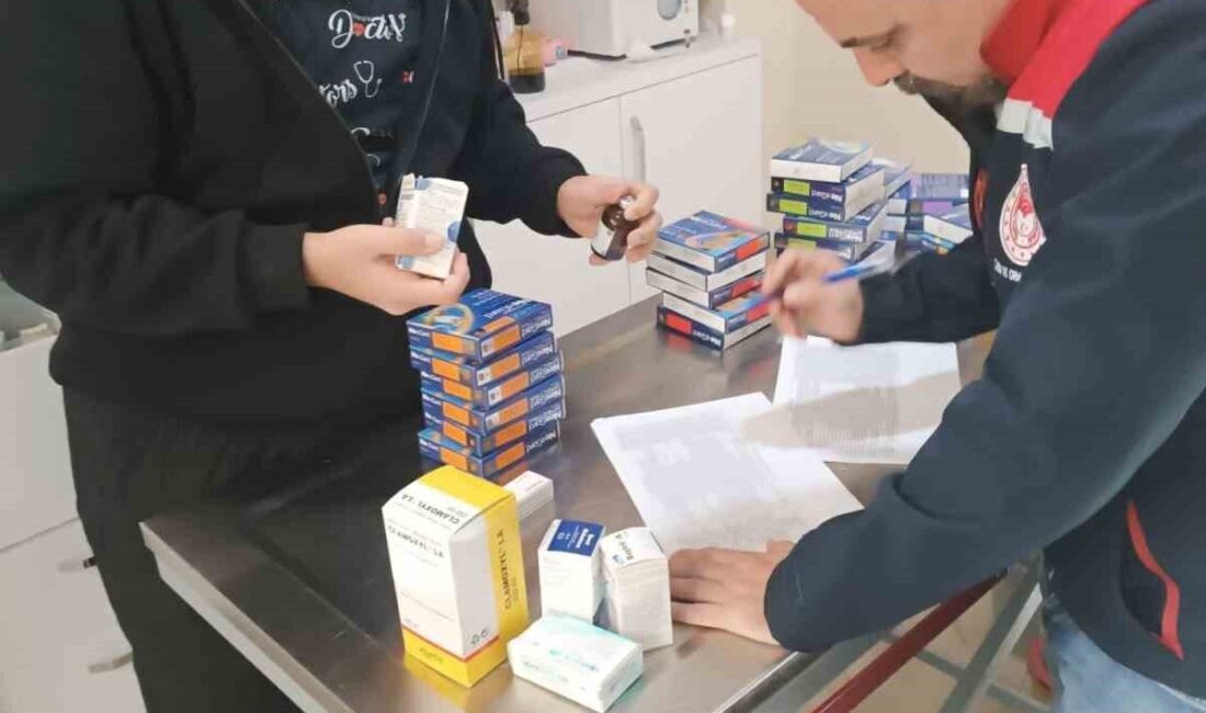 Söke’de Veteriner Klinikleri Denetlendi, Hijyen ve Ruhsat Kontrolleri Yapıldı Söke İlçe Tarım ve Orman Müdürlüğü, özel veteriner kliniklerini denetleyerek