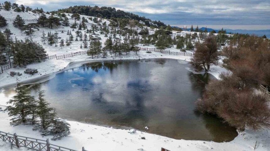 Spil Dağı Milli Parkı, ilk karla birlikte beyaza büründü; köpeklerin yılkı atını kovaladığı anlar görüntülendi.