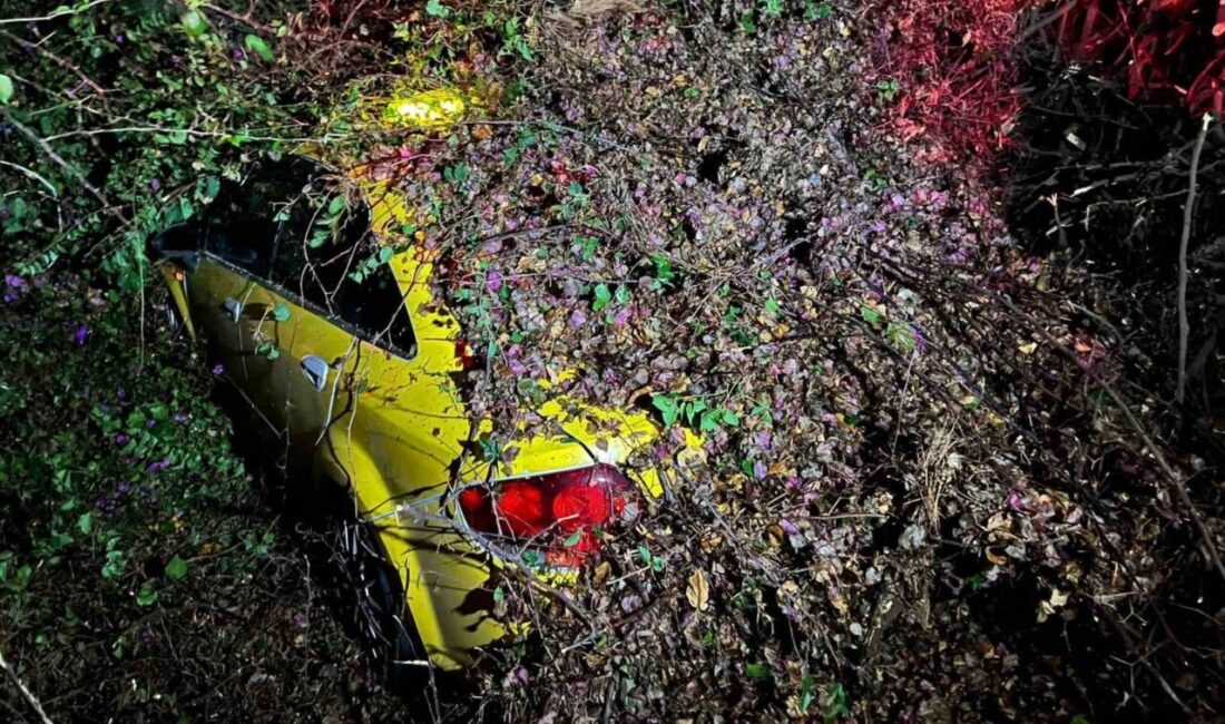 Mersin’in Mezitli ilçesinde bir ağaç, sürücüsünün içinde bulunduğu otomobilin üstüne