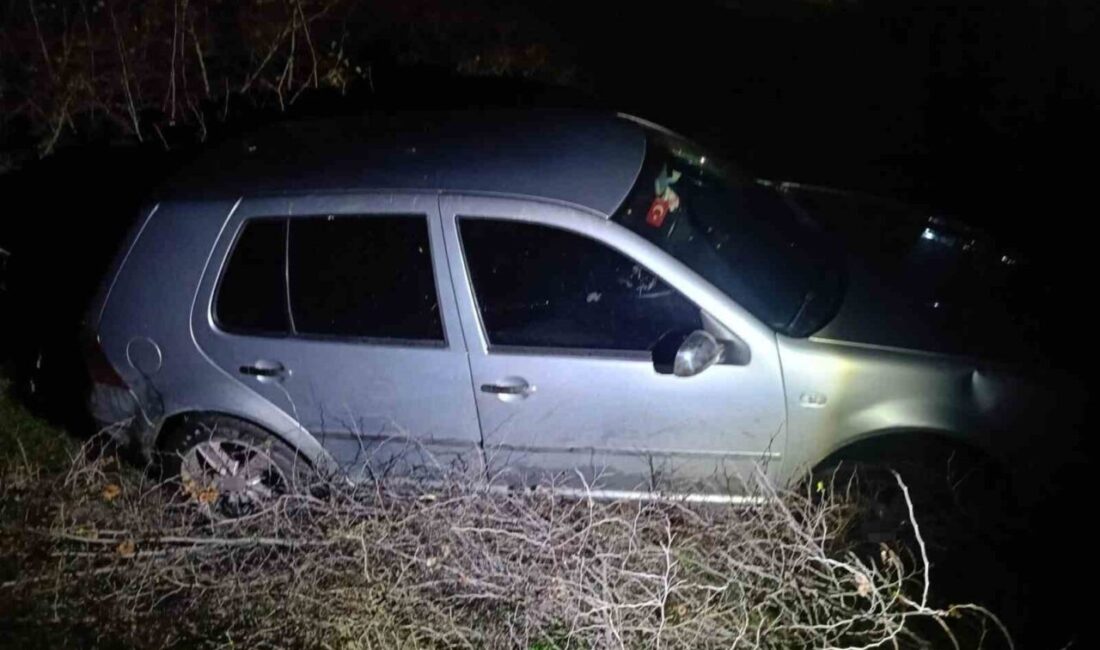 Balıkesir’de Şarampole Uçan Otomobilin Sürücüsü Yaralandı Balıkesir'in Susurluk ilçesinde E.İ. yönetimindeki otomobil, kontrolden geçerek şarampole uçtu.