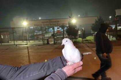 Düzce’de 326 Mahkum 11. Yargı Paketi Kapsamında Tahliye Edildi