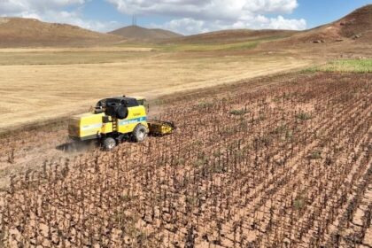 TÜİK Ekim Ayı Tarımsal Girdi Fiyat Endeksi Verilerini Açıkladı: Yıllık Artışlar Dikkat Çekiyor