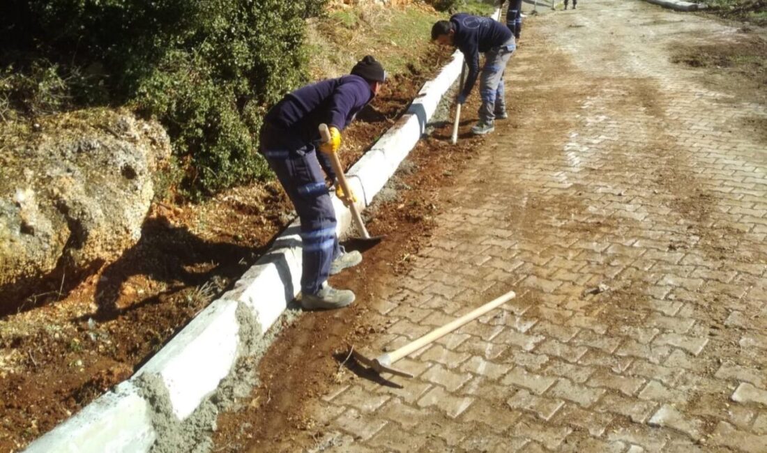 Tavas Belediyesi, Saha Çalışmalarını Hızla Sürdürüyor: Altyapı ve Sosyal Tesis İyileştirmeleri Devam Ediyor Tavas Belediye Başkanı Kadir Tatık, Fen İşleri Müdürlüğü'nün mahallelerde yürüttüğü