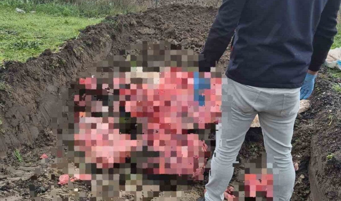 Ergene’de Yol Kontrolünde Ele Geçirilen 1 Ton Hayvansal Ürün İmha Edildi Tekirdağ'ın Ergene ilçesinde gerçekleştirilen yol kontrolünde, belgesiz ve menşei belirsiz